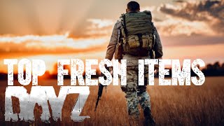 DayZ Top Items To Loot As A Freshie  Survive To Thrive 2023 [upl. by Jaylene]