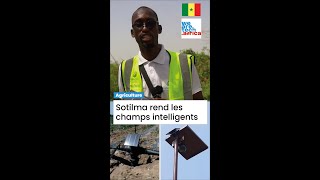 🌾📱 Sotilma  LAppareil qui Connecte les Champs et Révolutionne lAgriculture au Sénégal  🇸🇳🚀 [upl. by Huttan]