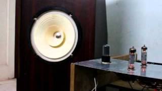 Diy Audio Speakers amp EL84 Tube Amplifier [upl. by Nnaycart548]