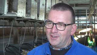 Ronald Rongen of LSSE Low Stress Stockmanship Europe on a modern dairy farm in the Netherlands [upl. by Corine]