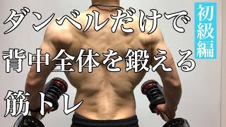 ダンベルのみで背中を鍛える筋トレ！初心者さんにオススメ背中トレーニング [upl. by Kendell]