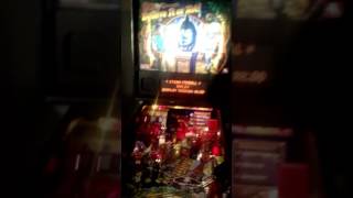 Ripleys Believe it or Not Pinball [upl. by Felipe]