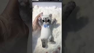 Cats Sticky Toy Cast In Foam 😱 shortsvideo [upl. by Kress]