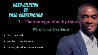 Homeostasis Vasodilation Vs Vasoconstriction [upl. by Persis]