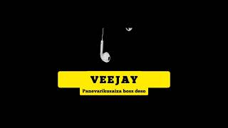 Veejay  Panevarikusaiza boss deso Official Audio Zimdance hall 2024 [upl. by Alegnasor]