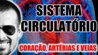 Sistema Circulatório  O coração as artérias e as veias  Anatomia Humana  VideoAula 003 [upl. by Bean]