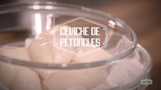 Faire un ceviche de pétoncles  Les techniques culinaires Zeste avec Jonathan Garnier [upl. by Yehudit391]