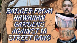 BADGER FROM HAWAIIAN GARDENS WORKING FOR LA EME OVERTHROWS 18 STREET GANG IN THE FEDScrimestory [upl. by Maximilianus]