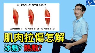 肌肉拉傷如何處理？如何預防？這幾點是關鍵！ 蒼藍鴿聊醫學EP63 [upl. by Adelaida]