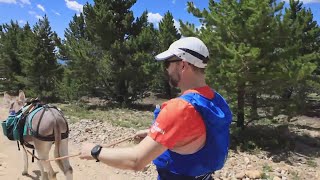 Watch Leadville pack burro racing [upl. by Airekahs]