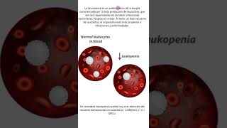 Leucopenia cienciamedica biology [upl. by Flanagan]