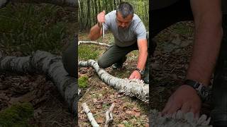 Survival Skills Fire Starting with Wet Birch Bark and Magnesium survival camping lifehacks [upl. by Heriberto]