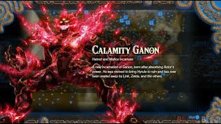 How to Unlock Calamity Ganon as a Playable Character in Hyrule Warriors Age of Calamity  Secret [upl. by Berty]