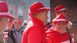 PENSIONATI DELLO SPI CGIL IN MANIFESTAZIONE A BOLOGNA [upl. by Asirrak78]