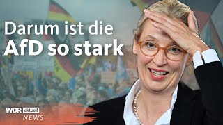 DeutschlandTrend So profitiert die AfD von den aktuellen Sorgen der Menschen  WDR Aktuelle Stunde [upl. by Ruthie]