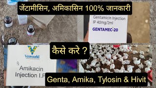 Genta Amikacin Injection for Poultry  इंजेक्शन की डोज़ कैसे बनाएं  Tylosin For Broiler [upl. by Us44]