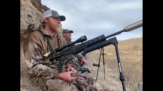 CALVING SEASON  Texas Panhandle Coyote Hunting [upl. by Eetnahs]