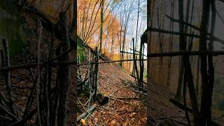 emmental forest autumn visitswitzerland swissnature [upl. by Ursa134]