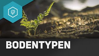 Was sind Bodentypen  Böden 5 [upl. by Shetrit]