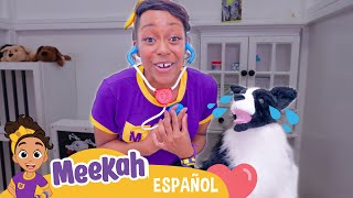 MEJORES MOMENTOS ¡Meekah es la mejor 🐕 veterinaria 🐩 de la ciudad💜 MEEKAH amiga de Blippi💜 SHORT [upl. by Wolford838]