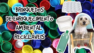 Brinquedos recicláveis de Enriquecimento Ambiental para o seu cão [upl. by Bekah45]