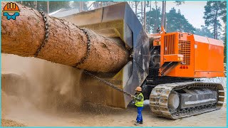 606 EXTREME Dangerous Huge Wood Chipper Machines  Best Of The Week [upl. by Yatnoj]