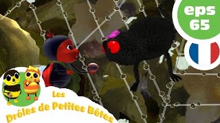 DRÔLES DE PETITES BÊTES  EP65  Le pou ventriloque [upl. by Sabina]