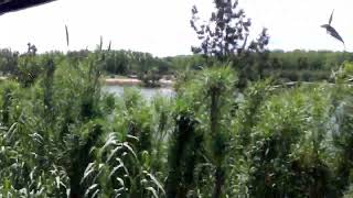 Un lago con una playa de arena junto a las vías de la Línea San Martín entre Pilar y Manzanares [upl. by Artenek]