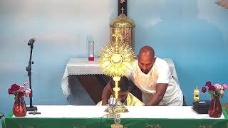 Grace of Heaven Dallas USA  Day 1 Retreat by Fr Antony Parankimalil VC  30th Aug 2024 [upl. by Dj]