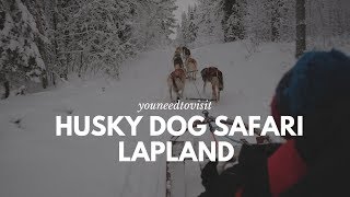 Husky Sledding on our Lapland Finland Adventure [upl. by Allene]