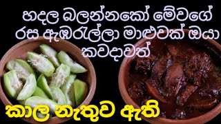 රසට පාටට ඇඹරැල්ලා කරියක් Easy and tasty ambarella curry in sinhala Ambarella maluwa Village girl [upl. by Berkly]