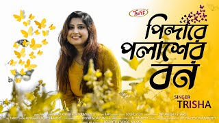 Pindare Polaser Bon  পিন্ডারে পলাশের বন  Trisha  Pujor Gaan  Folk Song [upl. by Onra]