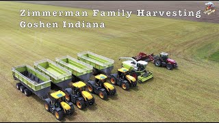 Chopping Triticale with Zimmerman Family Harvesting [upl. by Sylvanus]