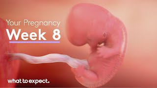 8 Weeks Pregnant  What to Expect [upl. by Raveaux]