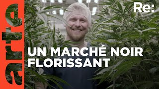 République tchèque  le boom du cannabis  ARTE Regards [upl. by Silsbye592]