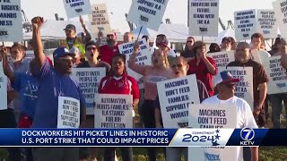 Dock Workers Hit Picket Lines [upl. by Felisha195]