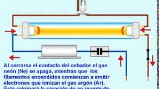 FUNCIONAMIENTO LAMAPARA FLUOREsCENTE [upl. by Duahsar371]