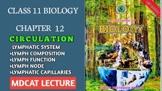 LYMPHATIC SYSTEM  LYMPH FLOW COMPOSITION OF FLUIDLYMPHATIC VESSELS  CLASS 11 MDCAT BIOLOGY [upl. by Nari491]