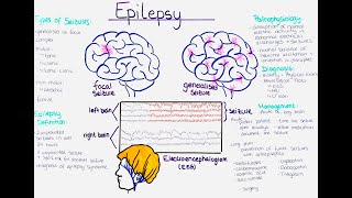 Understanding Epilepsy Pathophysiology Seizure Types Diagnosis Treatment Prevention 1st aid [upl. by Gnoh807]