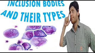 Inclusion bodies or granules and their types Cell lecture 9 [upl. by Barabas]