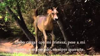 ESPINAS  BRONCO CON  LETRA [upl. by Ramled]