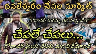 Fish Market  Dhavaleswaram  Cotton Barrage  Rajahmundry  Godavari River Fish Market [upl. by Anisamoht797]