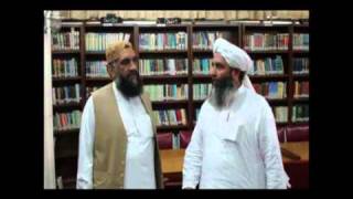 Mufti Zar Wali Khan Comments On molana ilyas ghumman [upl. by Ahsinyd]