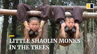 Young Chinese Shaolin monks display amazing feats of flexibility [upl. by Rammaj872]