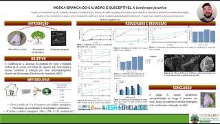 IV CONAENT  MOSCABRANCADOCAJUEIRO É SUSCEPTÍVEL A Cordyceps javanica [upl. by Phyllys]