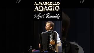 AMarcello Concerto in D minor Adagio 26 Zavadsky accordion marcello adagio classicalmusic [upl. by Bessie890]