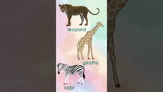 Wild Animals Animales Salvajes en Inglés inglesparaniños englishforkids efl esl shorts [upl. by Swamy583]