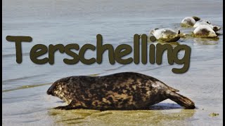 Best things to do on the island TERSCHELLING – The Netherlands [upl. by Shaffert650]