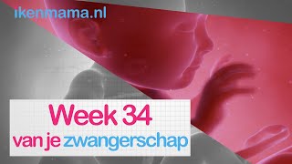 34 weken zwanger  ikenmamanl [upl. by Lalaj]