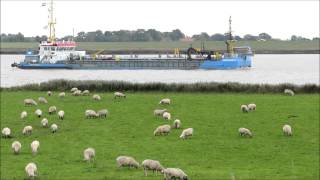 Saugbagger Hegemann 2 Baggerschiff Dredger baggert auf Höhe Oldersumer Schleuse [upl. by Elvira]